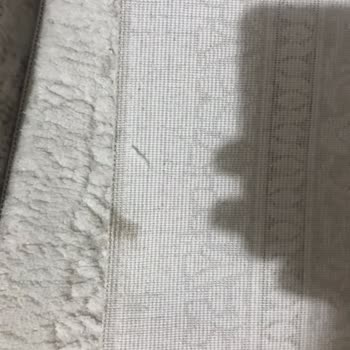 Defne Halı&Koltuk Yıkama ( Esenyurt) Kötü Yıkama