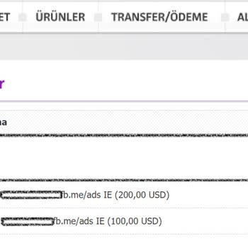 Enpara Kredi Kartından Onaysız 300 Dolar Para Çekildi