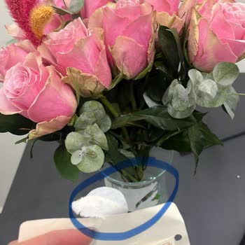 Bloom And Fresh Www.bloomandfresh.com Kötü Çiçek Teslimatı