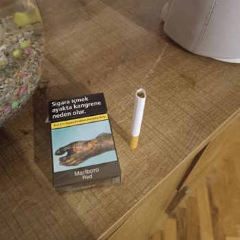 Marlboro Red Filtre