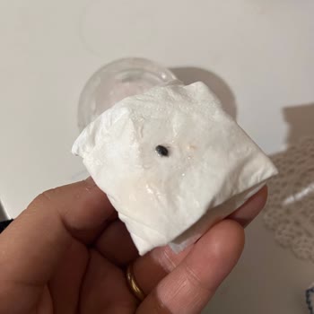 Note Cosmetics Waxın İçinden Böcek Çıktı