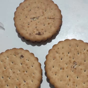 A101 Kurtlu Bisküvi Xroll