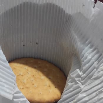 A101 Kurtlu Bisküvi Xroll