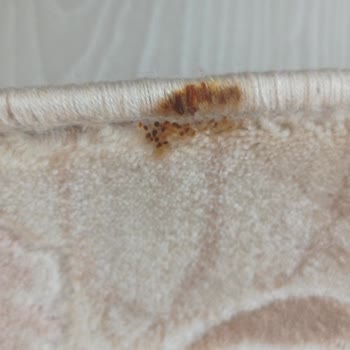 Garanti Halı Yıkama (Konya) Halının Yanık Gelmesi