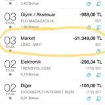 Lidio. Wnt Paramı Yatırmıyor