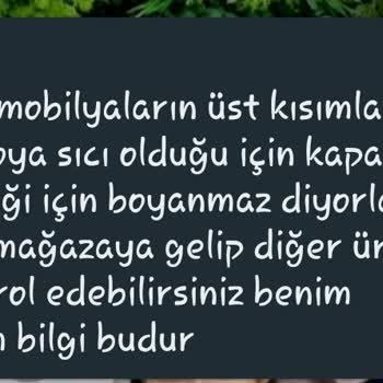 Rönesans Mobilya Gardırobun Kapağının Ustu Boyanmamış Olması Coğu Şeyi Savsaklamaları