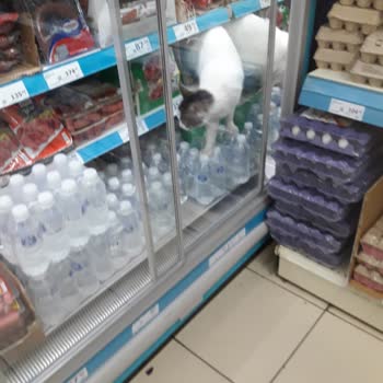 A101'den Aldığım Dana Sucuğuyla İlgili Şikayetim