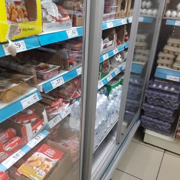 A101'den Aldığım Dana Sucuğuyla İlgili Şikayetim