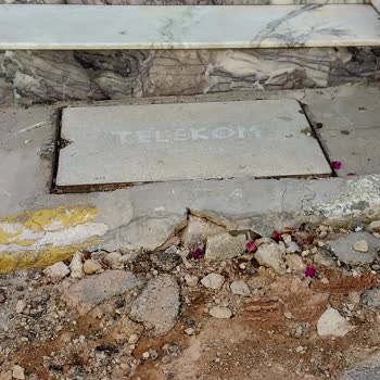 İzmir Balçova Belediyesi Yetersiz Hizmet Ve Hayvan Dışkısı Sorunu