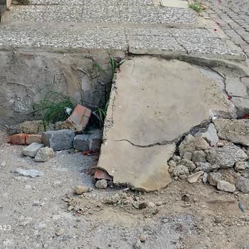 İzmir Balçova Belediyesi Yetersiz Hizmet Ve Hayvan Dışkısı Sorunu