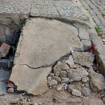 İzmir Balçova Belediyesi Yetersiz Hizmet Ve Hayvan Dışkısı Sorunu