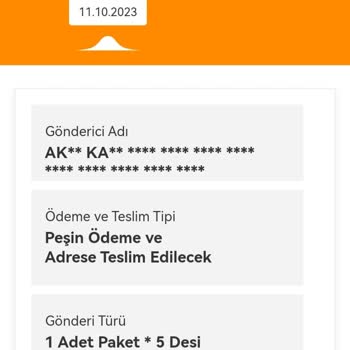 MNG Kargo, Kargomun Elime Ulaşmaması