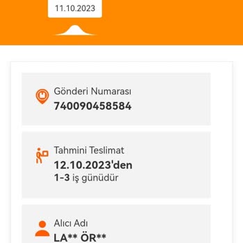 MNG Kargo, Kargomun Elime Ulaşmaması