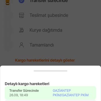 PTT Kargo 22 Gündür Nerede Olduğu Bilinmeyen Kargo