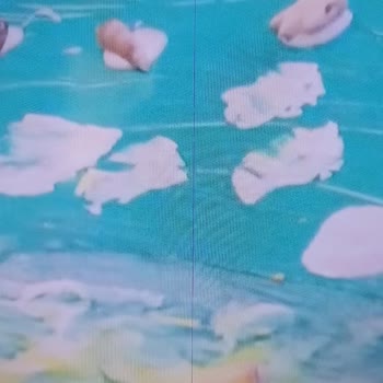 TCL Televizyon TCL 55c715 Ekran Çıkan Cizgi