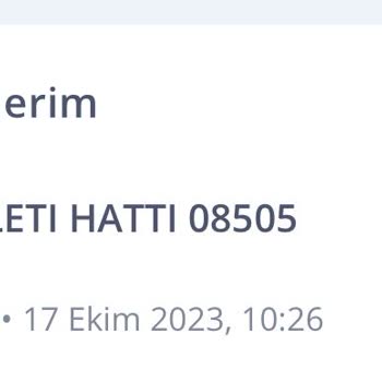 Lina Anadolu Turizm THY Temsilcisi Gibi Davranıp Benden Ödeme Aldı