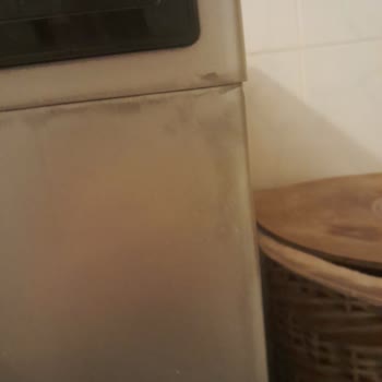 Vestel Çamaşır Makinesi Renk Atması