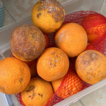 Migros Eltes Şubesinin Sanal Hizmeti