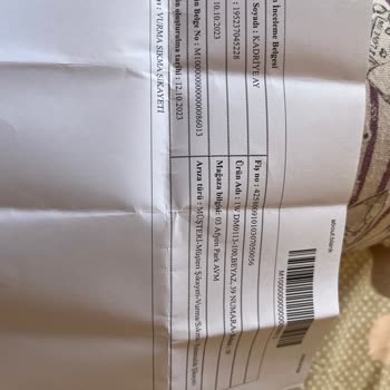 Nike Ayakkabı Vurması Ve Yaralaması