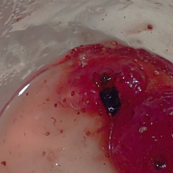 BİM Çilek Reçelinin İçinden Çıkan Böcek!