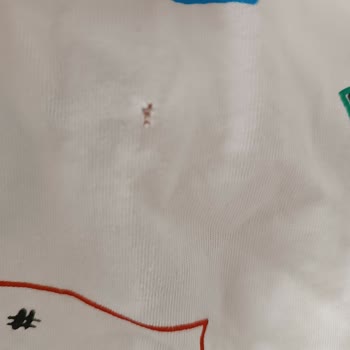 Samsung Çamaşır Makinesi Deliyor