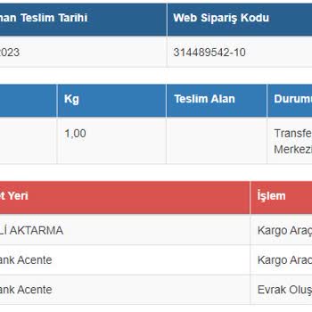 Sürat Kargo Sanırım Turşusunu Kuracaksınız