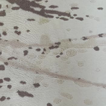 Çelik Halı Yıkama A*****'daki Halı Yıkama Şirketlerinin Hizmetlerinden Memnuniyetsizlik