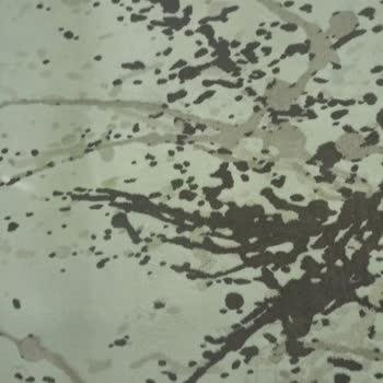 Çelik Halı Yıkama A*****'daki Halı Yıkama Şirketlerinin Hizmetlerinden Memnuniyetsizlik