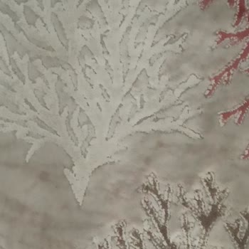 Çelik Halı Yıkama A*****'daki Halı Yıkama Şirketlerinin Hizmetlerinden Memnuniyetsizlik