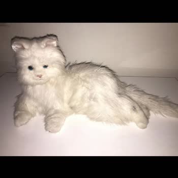 Dolap Uygulaması Haksız Yere İade Talebini Kabul Etti