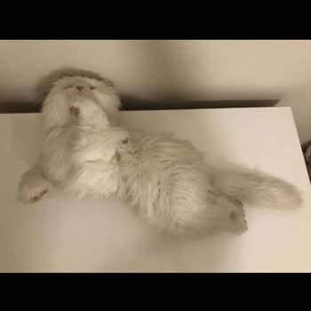 Dolap Uygulaması Haksız Yere İade Talebini Kabul Etti