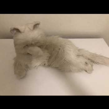 Dolap Uygulaması Haksız Yere İade Talebini Kabul Etti