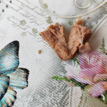 Erpiliç Köftede Tavuk Kılı Var