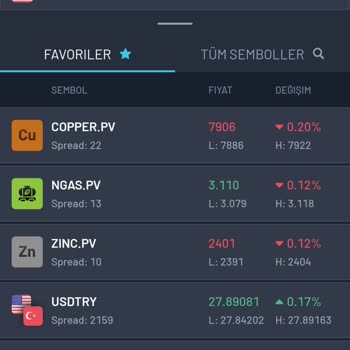 Provider Capital Markets Ters İşlemler Ve Kasanın Sıfırlanması
