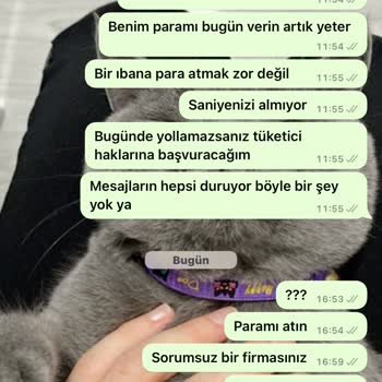 Şehri Moda Butik Güvensiz Bir Kurum