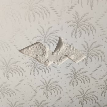 DASK Eksper Ataması Yapmıyor