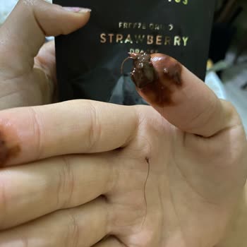 Patiswiss Çilek Drajeden Kıl Çıktı