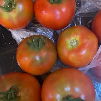 Migros Sanal Market Ürün Değişikliğini Dikkate Almaması