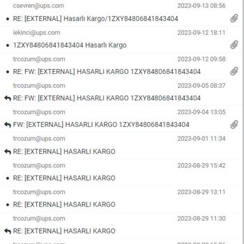 UPS Türkiye Kurumsal Sorumsuzluk- Ödemeden Kaçınma