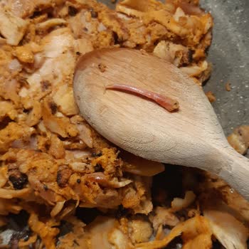 HasTavuk İçinden Çıkan Uzun Kemik, Yanlış Dondurulma Tarihi