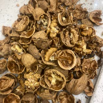 Tarım Kredi Kooperatifi Kabuklu Ceviz