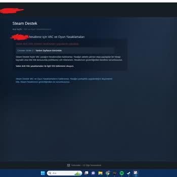 EzGlobal Vac Ban Attı