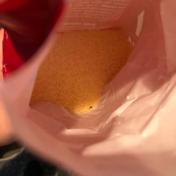 Filiz Makarna Böceklerin Bulunduğu İrmik Paketi Hakkında