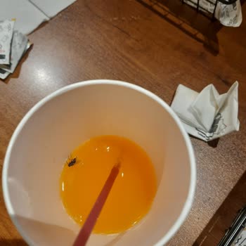 Packet Burger Restoranda Bardağa Sinek Düştü Ve Yeni Bardak Vermediler