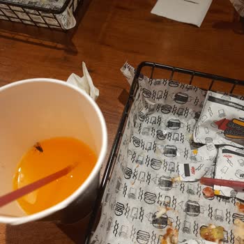 Packet Burger Restoranda Bardağa Sinek Düştü Ve Yeni Bardak Vermediler