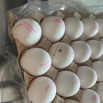 Migros Kırık Özensiz Teslimat