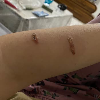 Eva Güzellik Merkezi Hem Paramızdan Hem Sağlığımızdan Olduk