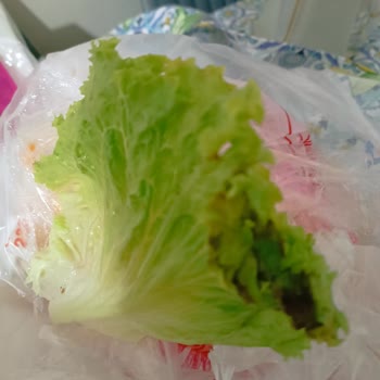 Öz Diyarbakır Seyahat Lahmacun Siparişiyle İlgili Sorunlar