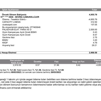 Paladyum Elektronik Paramı Ver