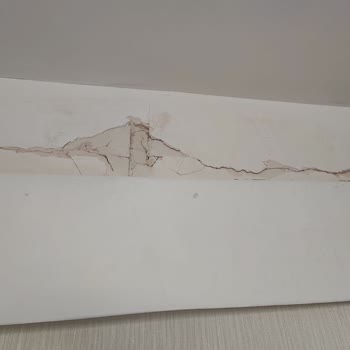 DASK Hasar Kaydı İçin Verdiğim Uğraşlar Ve Bilgi Almama Engelleri